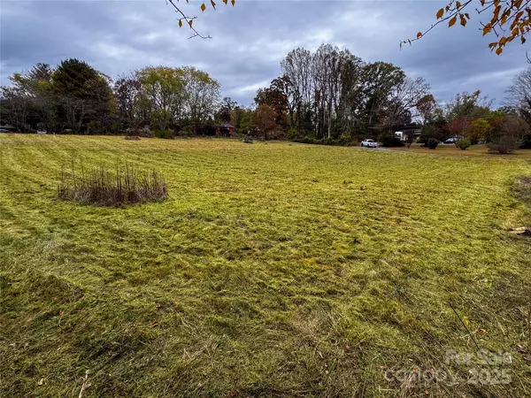 Hendersonville, NC 28792,99999 Bradshaw AVE #3