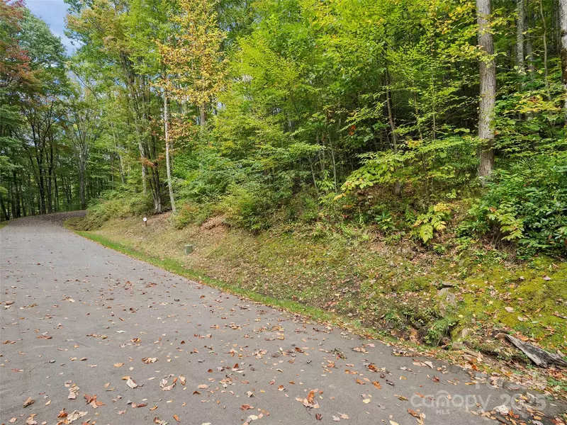 Lot 23 Finlaystone TRCE, Waynesville, NC 28786