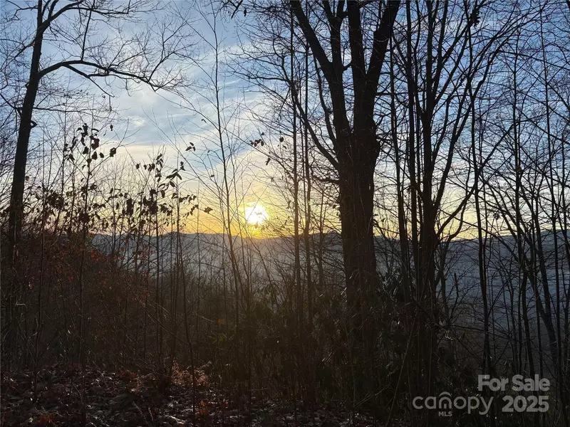 899 Hyacinth DR, Clyde, NC 28721