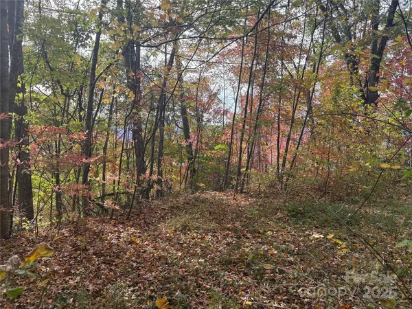 Clyde, NC 28721,899 Hyacinth DR