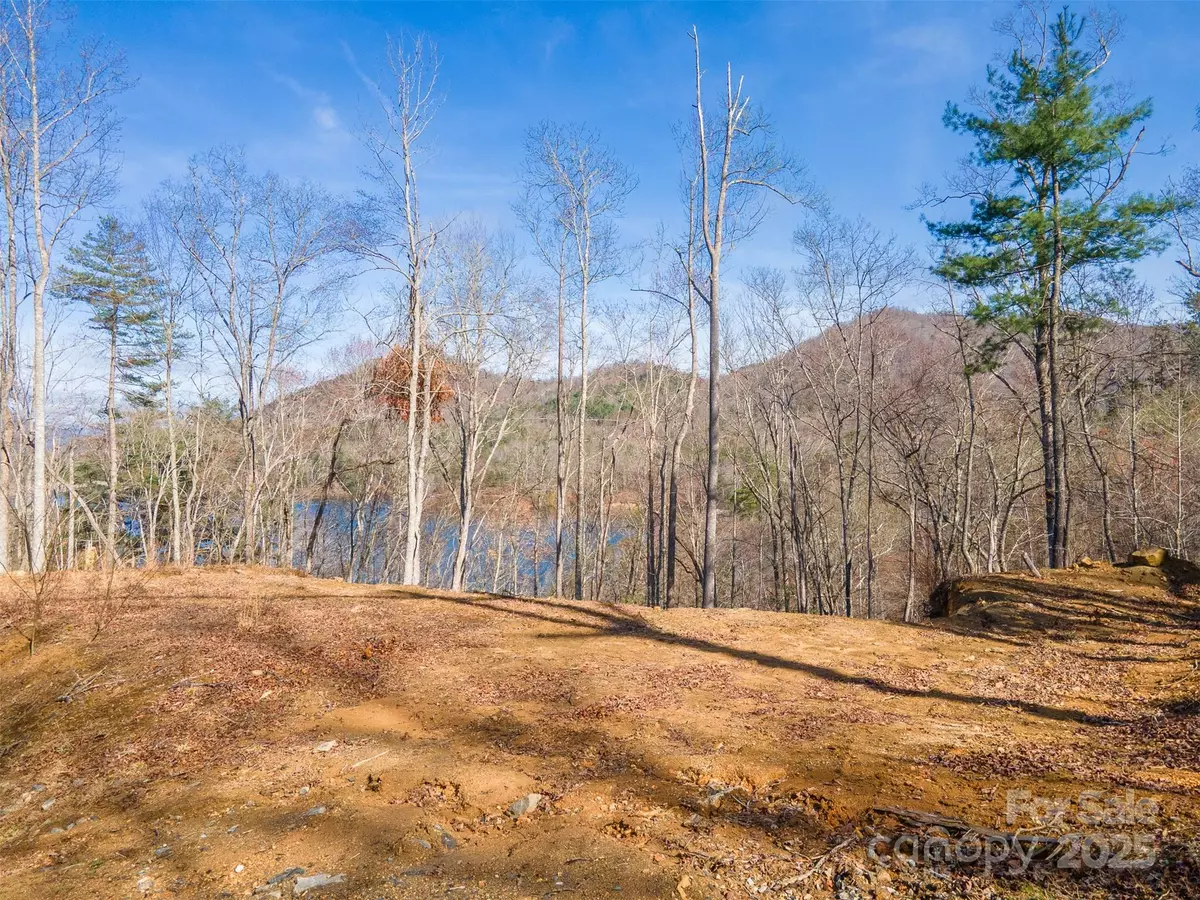 Tuckasegee, NC 28783,Lot 156 Mandolin CT #156