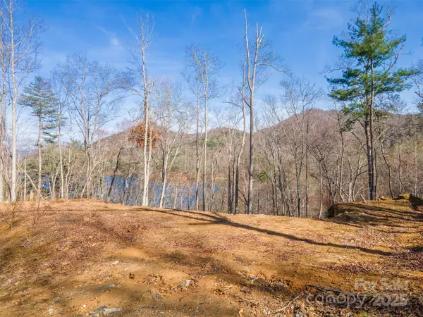Lot 156 Mandolin CT #156, Tuckasegee, NC 28783
