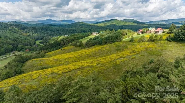 Fleetwood, NC 28626,tbd Cranberry Springs RD