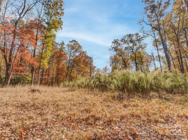 Pisgah Forest, NC 28768,135 Paisley LN #4