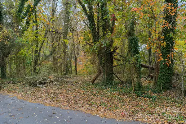 Asheville, NC 28805,97 Old Haw Creek RD