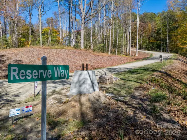 Hendersonville, NC 28739,000 Reserve WAY #12