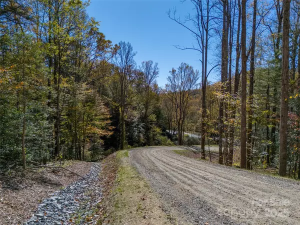 Hendersonville, NC 28739,000 Reserve WAY #12