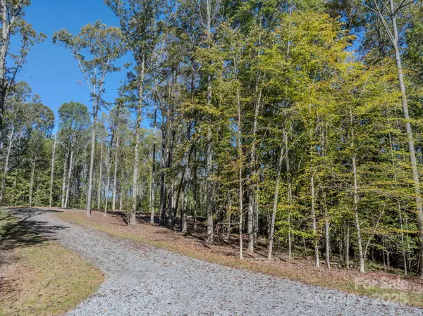 Hendersonville, NC 28739,000 Nature Walk LN #7
