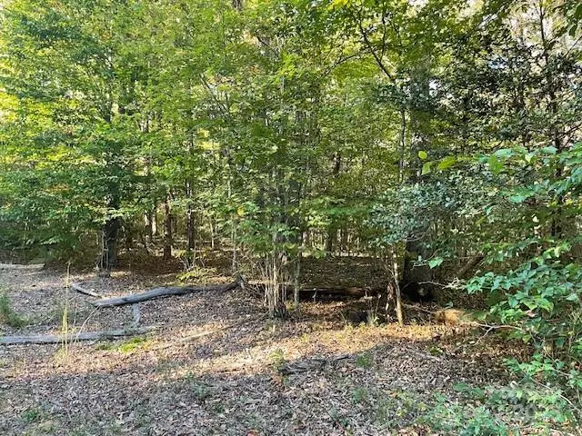 0000 W US 70 Highway W None, Marion, NC 28752