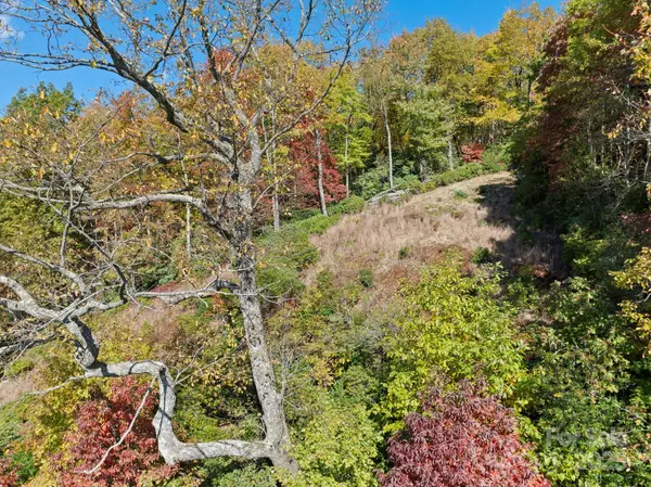 Rosman, NC 28772,TBD Sassafras RDG #36