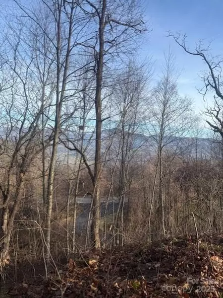 0 Pathways TRL #89, Waynesville, NC 28785