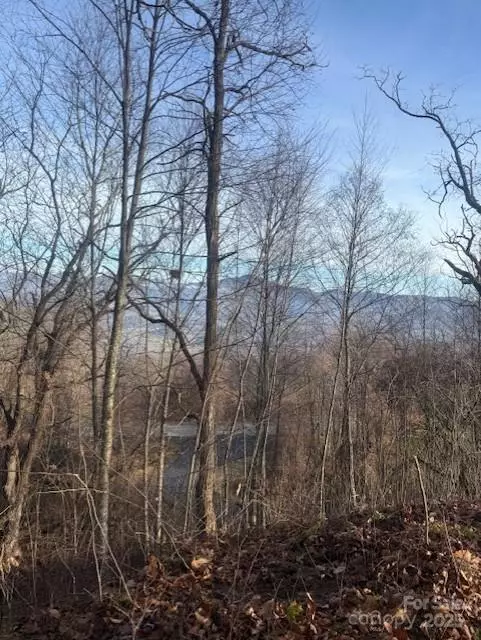 0 Pathways TRL #89, Waynesville, NC 28785