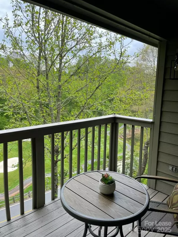 Burnsville, NC 28714,220 Stoney Falls LOOP #1-B3