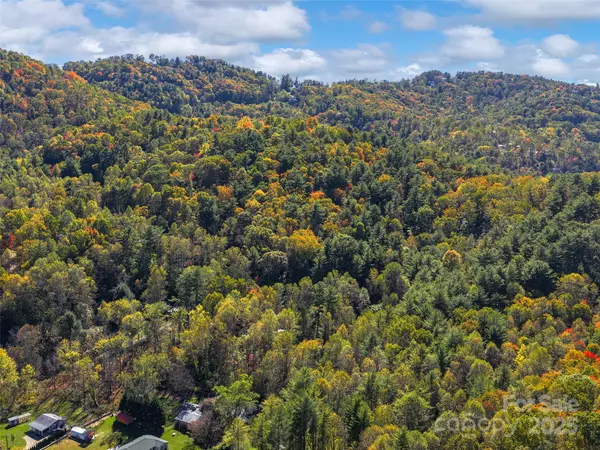 Asheville, NC 28804,51 Rice Branch RD