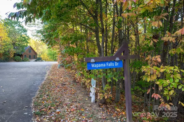 Black Mountain, NC 28711,9 Wapama Falls DR #17