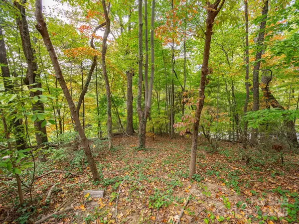 Tryon, NC 28782,00 Fox Trot LN