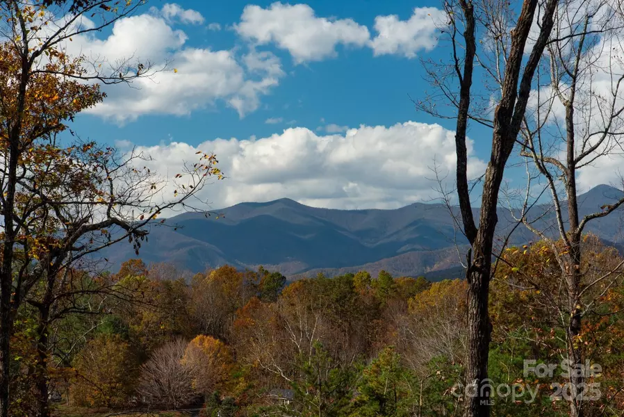 154 South Slope LN #18, Old Fort, NC 74848