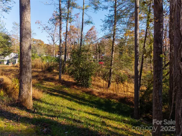 Asheville, NC 28803,50 Forest RD