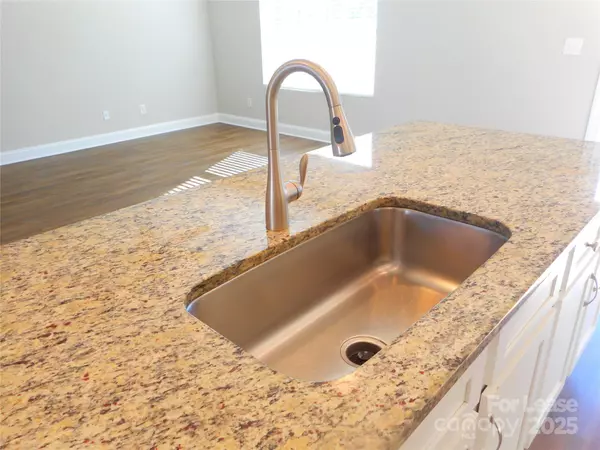 Fort Mill, SC 29715,1163 Pecan Ridge RD