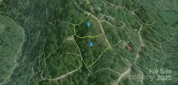 Marble, NC 28905,262 Silo VW