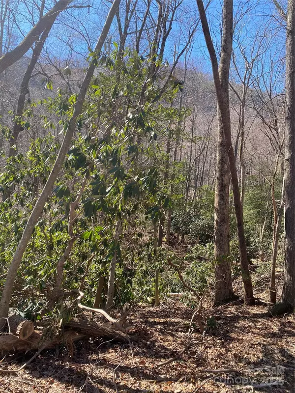 Lake Lure, NC 28761,0000 Raleigh DR #8 & 9