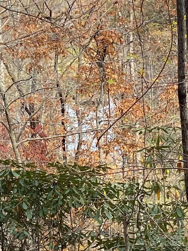 Lake Lure, NC 28761,0000 Raleigh DR #8 & 9