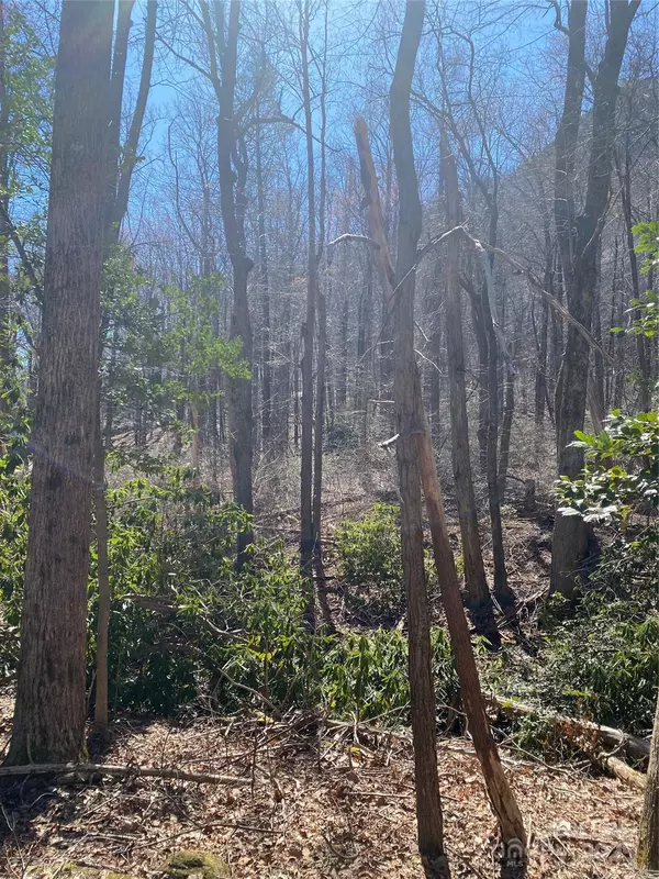 Lake Lure, NC 28761,0000 Raleigh DR #8 & 9