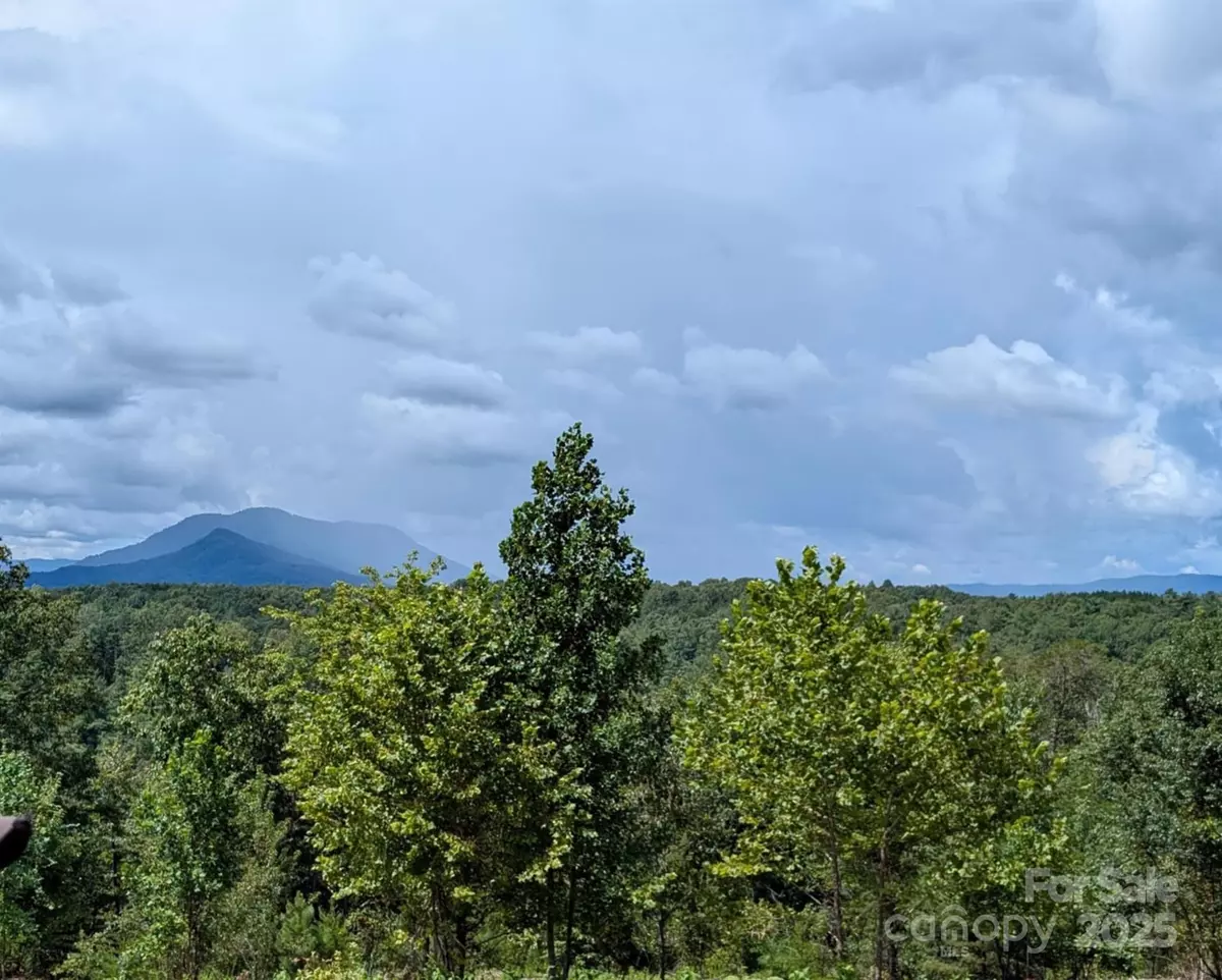 Mill Spring, NC 28756,Lot #3 Price Summit WAY