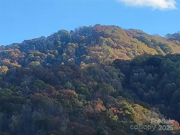 Clyde, NC 28721,00 Kirkpatrick CV