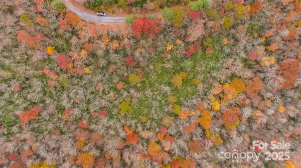 Fairview, NC 28730,82 Davey Crockett RD