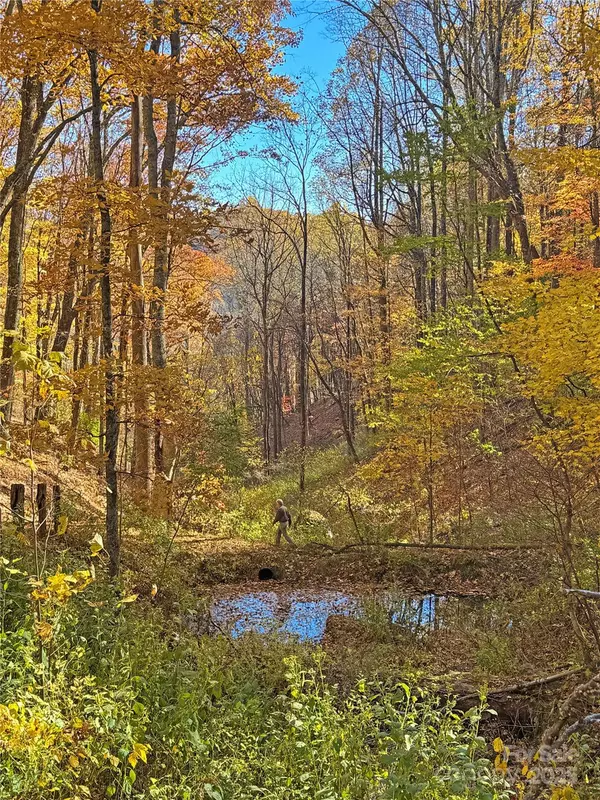 Hot Springs, NC 28743,890 Panther Branch RD