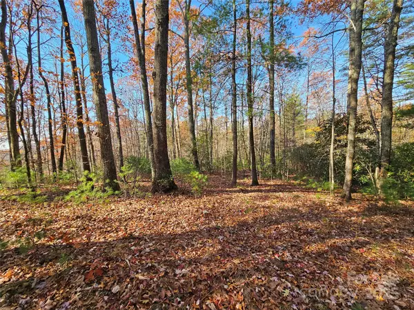 Asheville, NC 28803,9999-17 Bob Barnwell RD