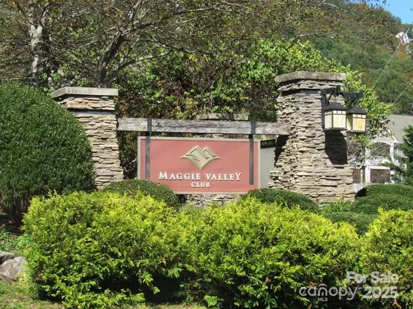 Maggie Valley, NC 28751,30 Brier LN
