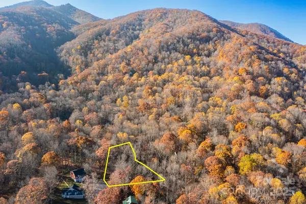Maggie Valley, NC 28751,Lot 62 Twinbrook LN