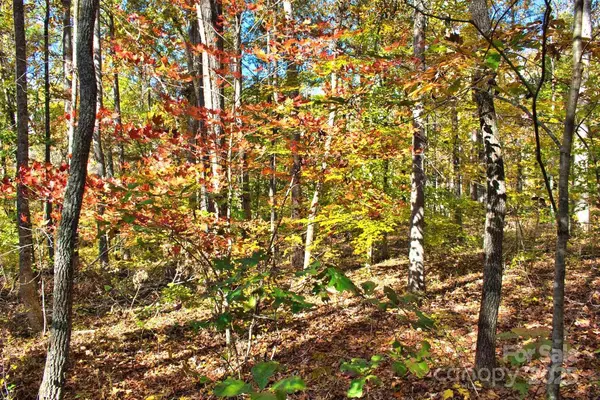 Rutherfordton, NC 28139,0 Bitteroot CIR #294