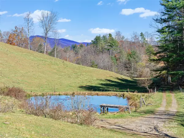 Green Mountain, NC 28740,321 Lyle LN