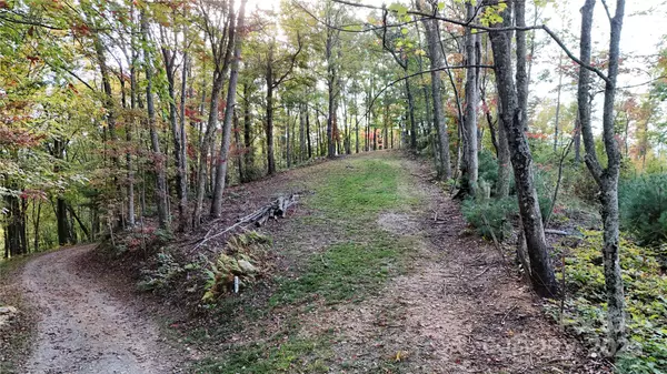 Clyde, NC 28721,2 Roberts Mountain RD #2