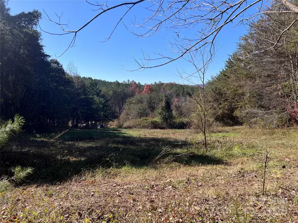 740 North Fork RD, Bostic, NC 28018