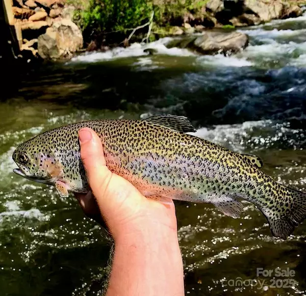 Spruce Pine, NC 28777,02 Highland River Pkwy #2