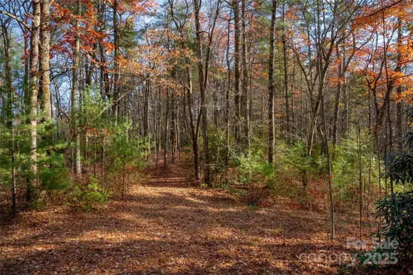 Lake Toxaway, NC 28747,TBD South Fork TRL