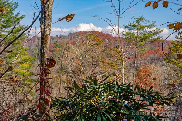 Lake Toxaway, NC 28747,TBD South Fork TRL