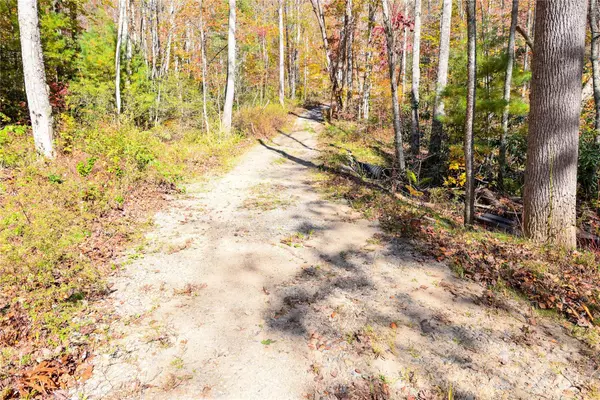 Swannanoa, NC 28778,99999 Long Branch RD