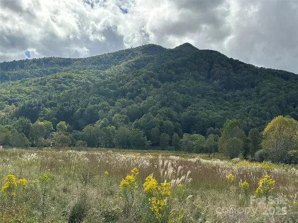 Spruce Pine, NC 28777,04 Highland River Pkwy #4