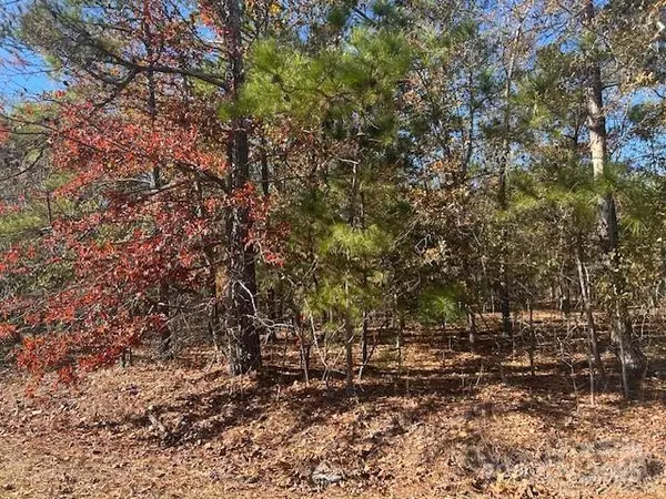 1060 Neds Creek RD, Kershaw, SC 29009