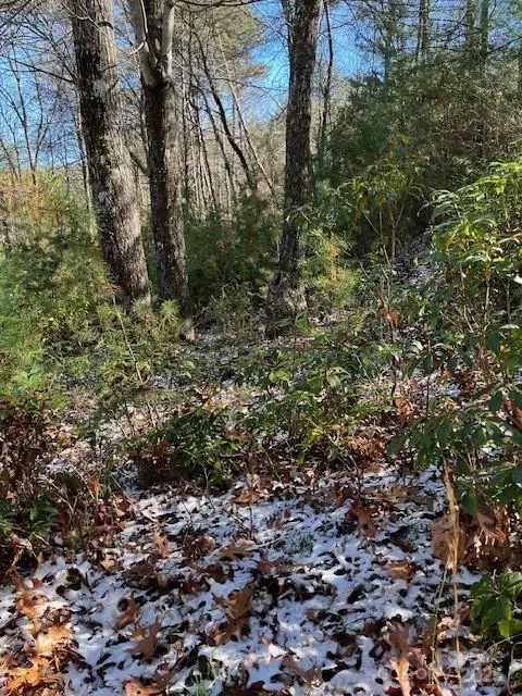 Lake Toxaway, NC 28747,TBD Kitchen Loop RD