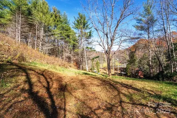 Vilas, NC 28692,846 Joe Shoemaker RD