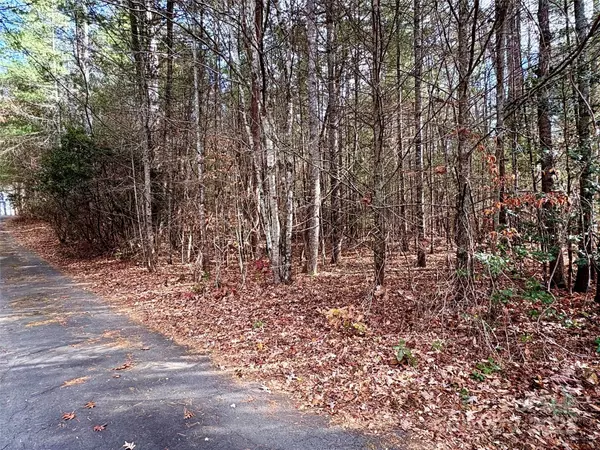 Fairview, NC 28730,99999 Heather LN