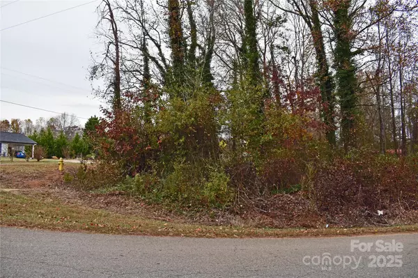 Lincolnton, NC 28092,00 Horseshoe Lake RD