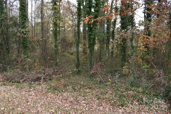 Lincolnton, NC 28092,00 Horseshoe Lake RD