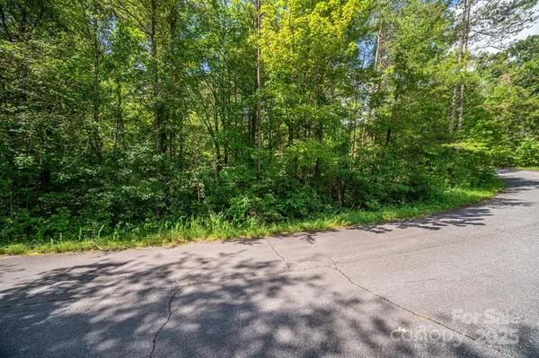Forest City, NC 28043,Lot 40 Line DR
